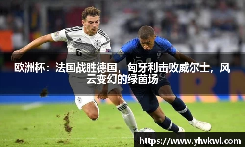 欧洲杯：法国战胜德国，匈牙利击败威尔士，风云变幻的绿茵场