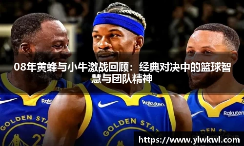 08年黄蜂与小牛激战回顾：经典对决中的篮球智慧与团队精神