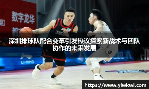 深圳排球队配合变革引发热议探索新战术与团队协作的未来发展